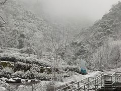 -藏龙百瀑风景区