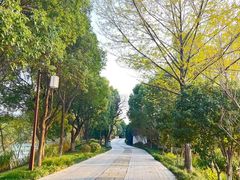 -西溪国家湿地公园