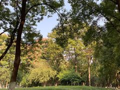 -后襄河公园