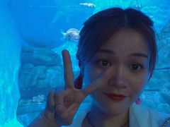 -厦门海底世界