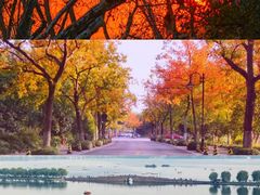 -北山街历史文化街区