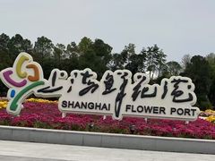 -上海鲜花港