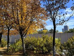 -长春世界雕塑园冰雪艺术天地