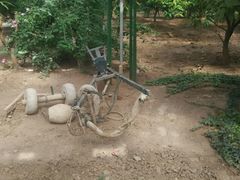 -万源龙顺度假庄园生态观光园