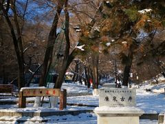 -雾凇岛