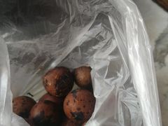 -豫园湖心亭茶楼