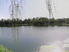-北坞公园