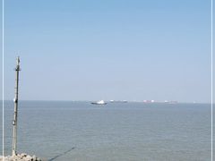 -上海滨江森林公园