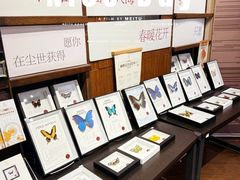 -三联韬奋书店(三里屯店)