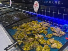 -川骄海鲜自助(河东店)