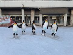 -沈阳奥体冰雪嘉年华