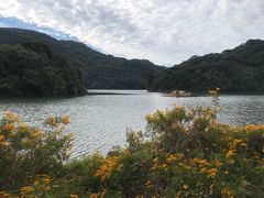 -广州市石门国家森林公园