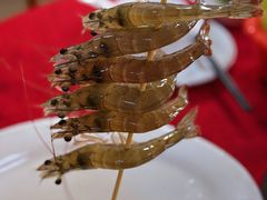 鲜活沙虾-花苑美食横琴生蚝火锅(拱北粤华路店)