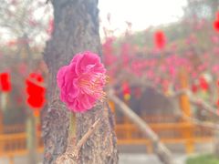 -四川省人民医院(本部)