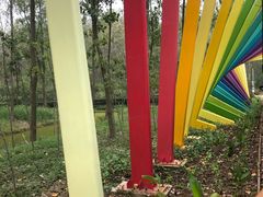 -合肥滨湖国家森林公园