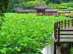 -龙头寺公园