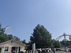 -日照海滨国家森林公园