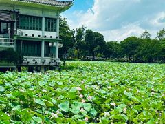 -荔湾湖公园