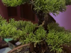-泰融玺·泰式按摩SPA(包河万达店)