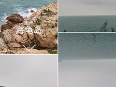 -广东惠东海龟国家级自然保护区