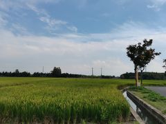 -嘉北郊野公园
