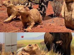 -陕西自然博物馆