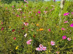 -野三坡刘家河高山漂流