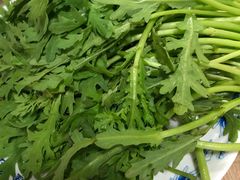 茼蒿-鑫龙火锅城(经二纬四店)