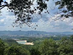 -大奇山国家森林公园