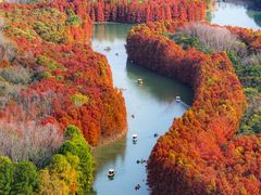 -上海海湾国家森林公园