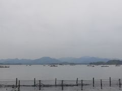 -湖畔居茶楼(湖滨店)