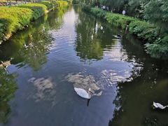 -长白岛森林公园