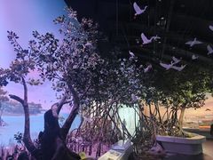 -中国湿地博物馆