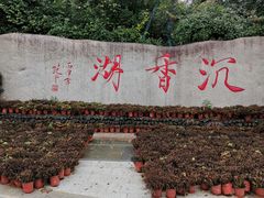 -诸暨同方豪生大酒店