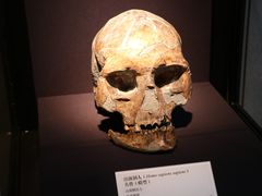 -北京周口店北京人遗址博物馆