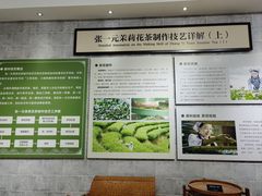 -中华茉莉园