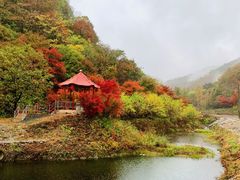 -洋湖沟
