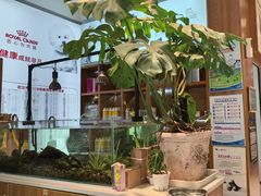 -可蒙动物医院·猫科·骨科中心(首义路店)