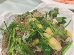 -光明渔港(海悦天地店)