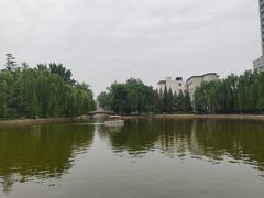 -团结湖公园