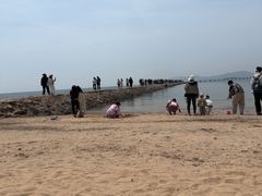 -青岛第二海水浴场