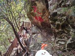 -永州阳明山国家森林公园