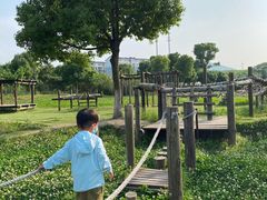 -田园东方蜜桃村的田野营地