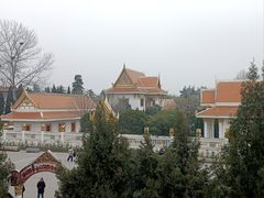 -洛阳白马寺
