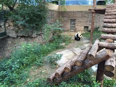 -北京动物园