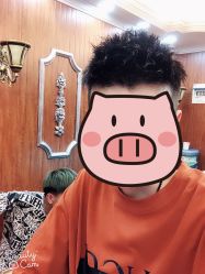 -小齐发型Star·Salon