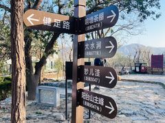-阳台山自然风景区