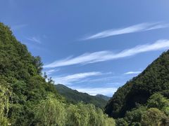 -牛背梁国家森林公园