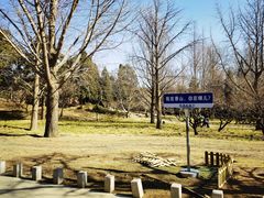 -香山公园