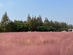 -嘉北郊野公园
